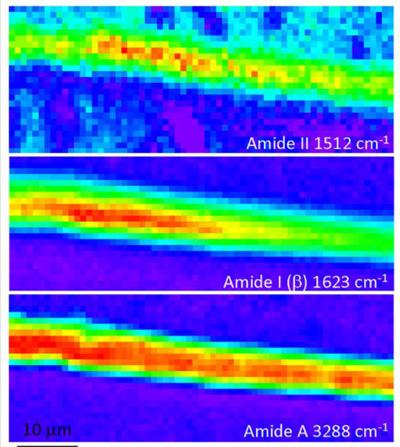 Infrared imaging of silk fibres