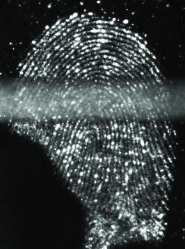 Black Fingerprint 2